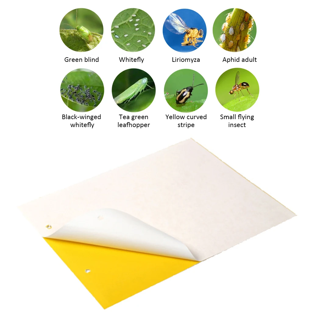 20 штук прочные ловушки для мух двухсторонняя ошибки липкий тли инсектицид доска