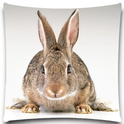 Квадратный Чехол Подушка с изображением серого кролика и змеи 18 дюймов чехол из