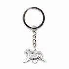 Модное Новое поступление, брелок для ключей Keeshond, автомобильный брелок для домашних собак, держатель для ключей для влюбленных, металлическая подвеска для собак, брелок, Прямая поставка