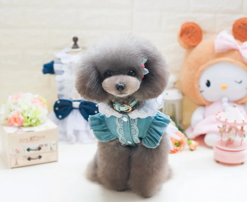 Европейская Женская одежда из джинсовой ткани для домашних питомцев новинка