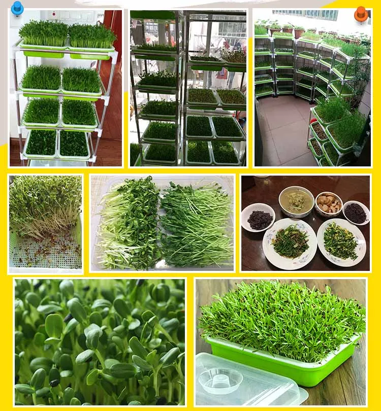 Hydroponics Seedling Tray Sprout Plate Hydroponics System To Grow Nursery Pots Tray Vegetable Seedling Pot Plastic Nursery Tray