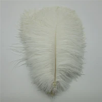 wholesale 10 pcslot natural white ostrich feathers for crafts 15 75cm carnival costumes party home wedding decorations plumes