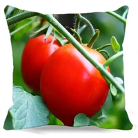 for home hotel car sofa decoration two tomato vegetables home textile bedding square cotton polyester pillow cover