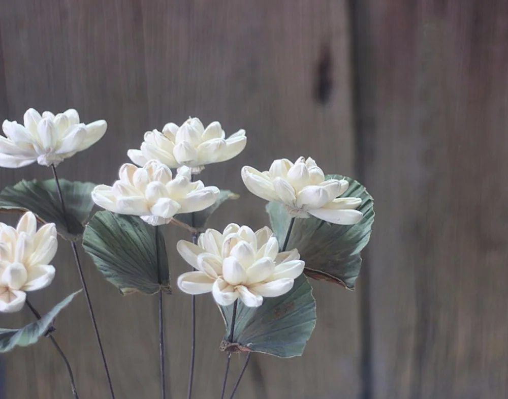 5 шт. белые сушеные цветы лилии для свадебной вечеринки украшения дома отеля