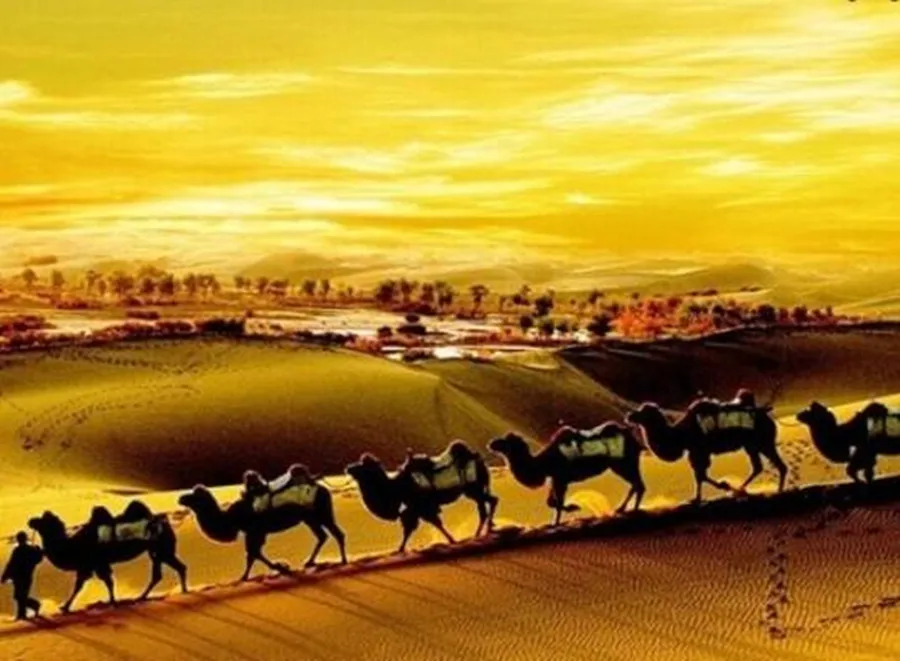 Пустынный пейзаж животные верблюд полностью квадратная Алмазная картина