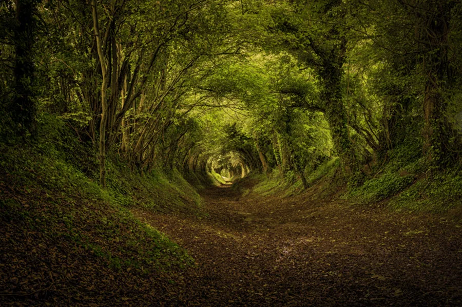 Новейшие 3D фрески обои для стен гостиной телевизора спальни | Обустройство дома