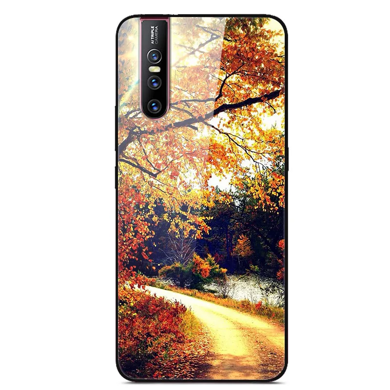 22 Чехол из закаленного стекла для Coque VIVO V15 Pro, чехол V 15, мягкий бампер, 3D Рисунок кошки, чехол для VIVO V15 Pro V15Pro V 15, чехол для телефона - Цвет: 22