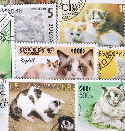 Популярные неиспользованные почтовые штампы 50 шт./лот Cat все отличаются во многих