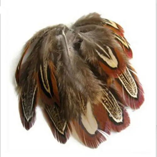 

Free shipping! Perfect 100pcs quality pheasant feathers 2-4 inches