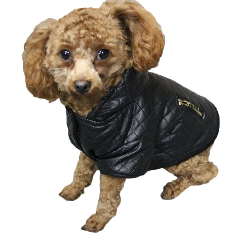 Новинка 2019 кожаный комбинезон для домашних животных Повседневная стильная