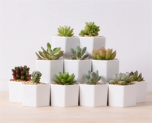 Отличная идея для маленьких растений! Искусственные вазы шестигранный цветочный