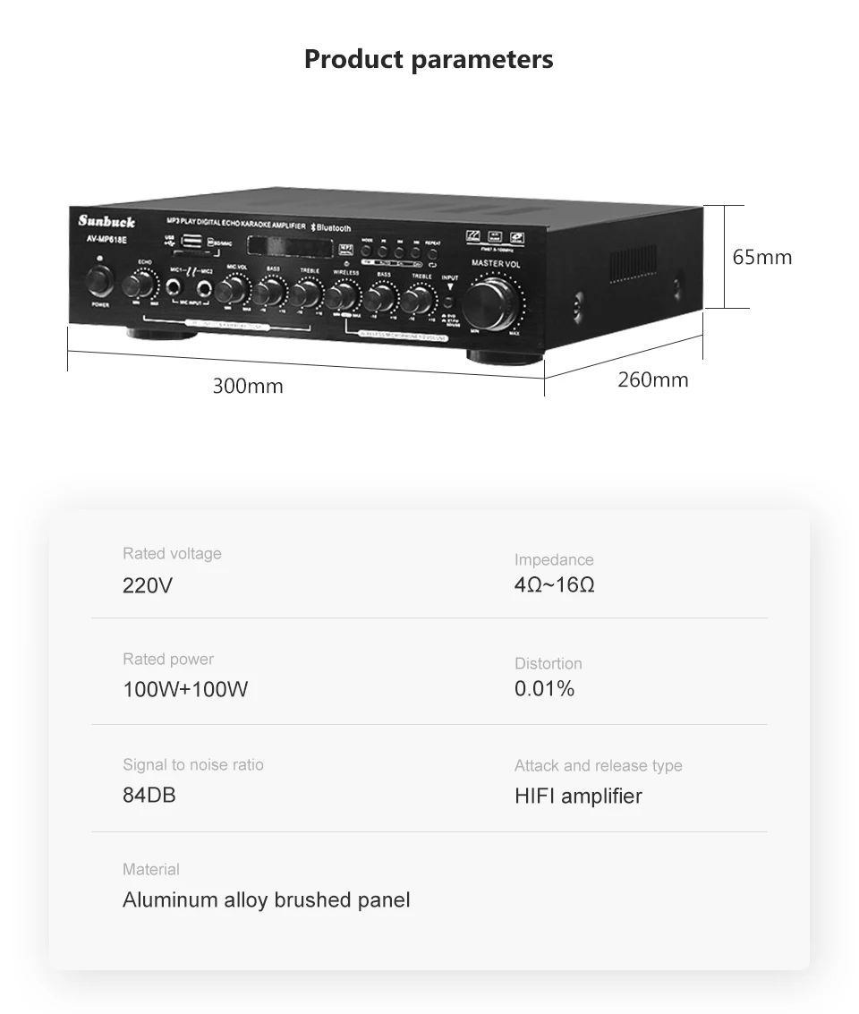 HiFi Цифровой звук аудио усилитель домашний кинотеатр караоке мощность динамик усилители 100Wx2 USB усилители с двумя беспроводными микрофоном