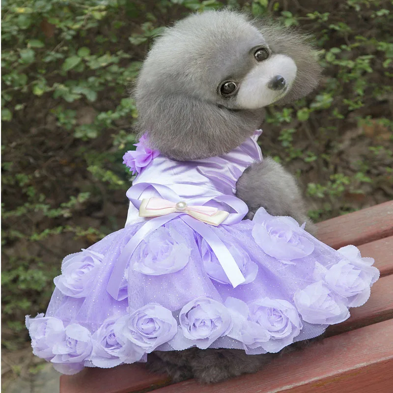 2016 платье для собак новейшие дизайнерские кружевные платья домашних животных