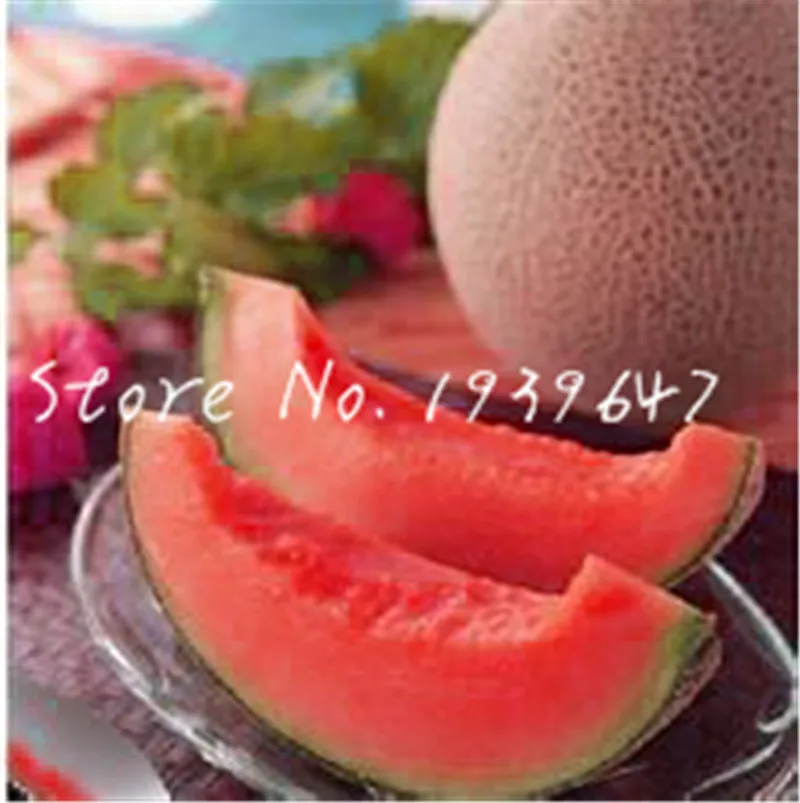 50 шт. Супер милое платье Мёд-роса дыни растения Hami Melon фруктовых деревьев