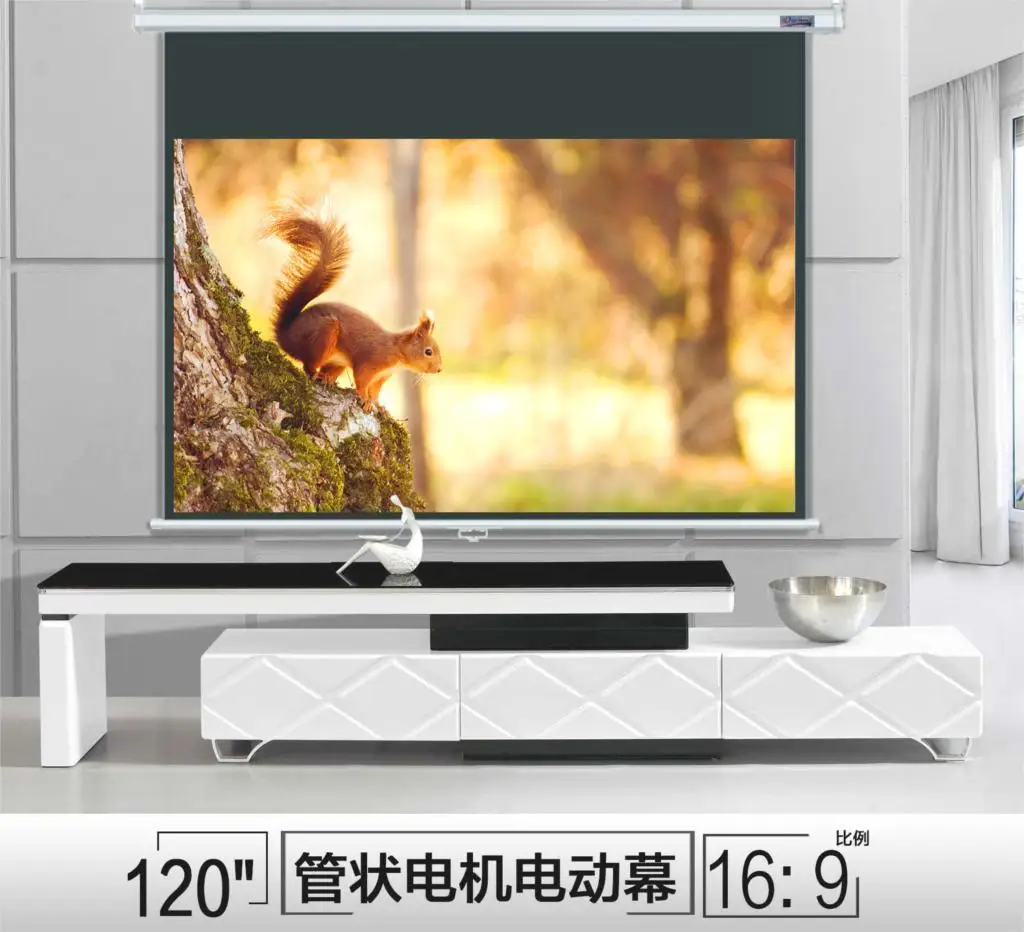 Тэновый экран двигателя проекционный 120 дюймов электрический 169 домашний