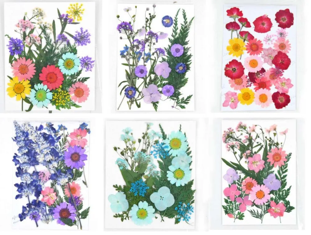 

22pcs Mixed Dried Pressed Flower+Leaves Plants Herbarium For Jewelry Postcard Photo Frame Phone Case Making DIY 7 Designs Pick