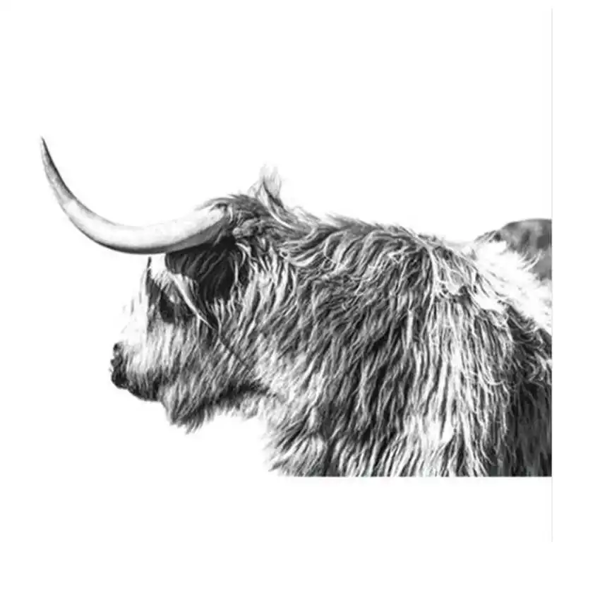 yak painting 18 Diy картина по номерам, Мак, Раскраска по номерам, красочный Кот Раскраска по номерам - Цвет: yak painting 18
