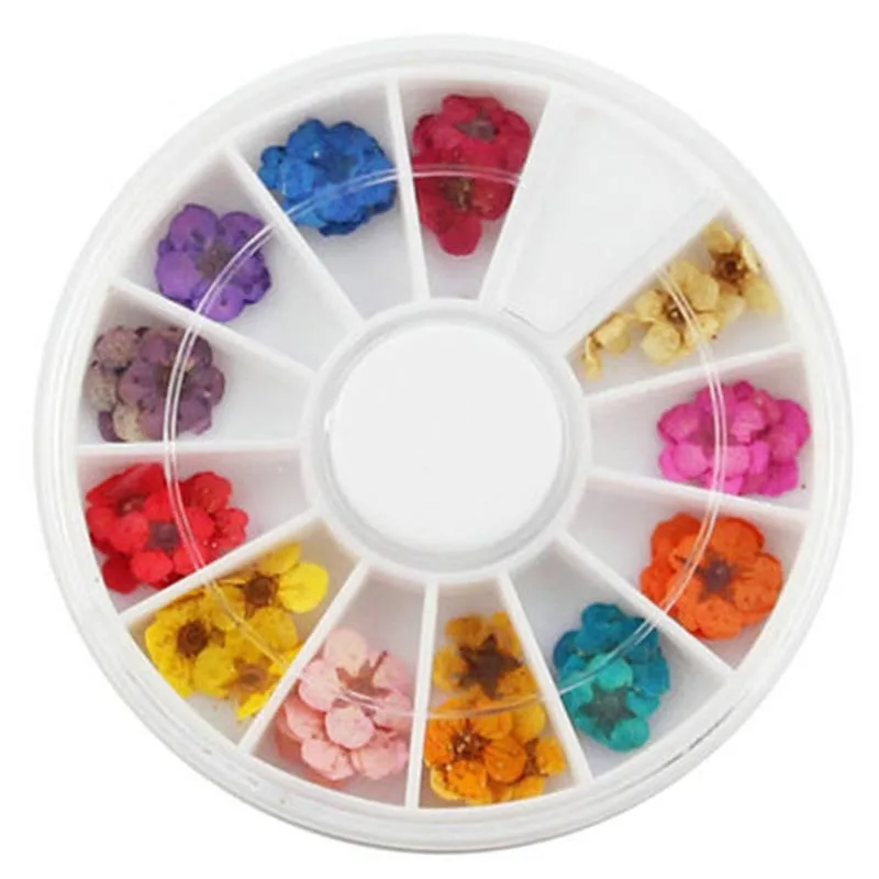 12 цветов Сушеные цветок для украшения ногтей натурального ногтя сухие цветы