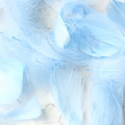 Light blue Высокое Качество натуральные перья цветные маленькие гусиные перья 5-10 см реквизит для фотосъемки фон для фотосъемки DIY украшения - Цвет: Light blue