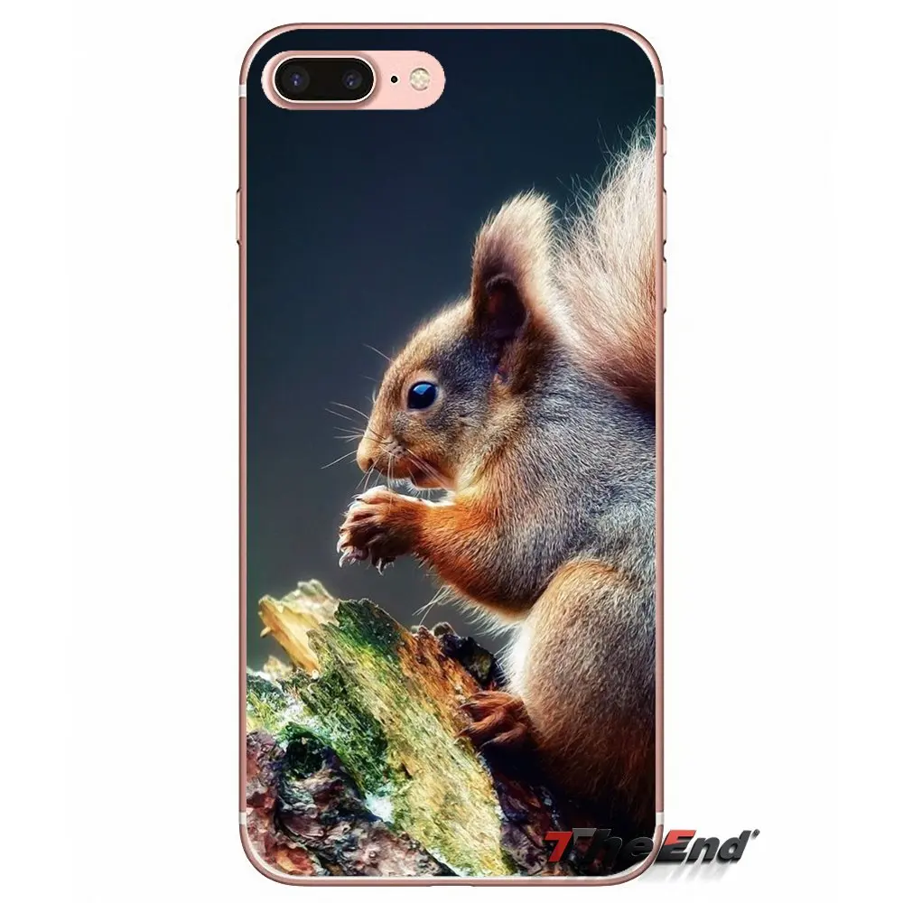 Силиконовый чехол для iPhone X 4 4S 5 5S 5C SE 6 6S 7 8 Plus Samsung Galaxy J1 J3 J5 J7 A3 A5 2016 2017 Red Squirrel Sciurus