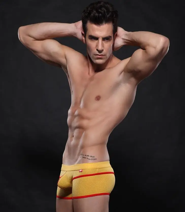 Мужские сексуальные сетчатые боксеры шорты дышащее нижнее белье Wangjiang|mesh boxer