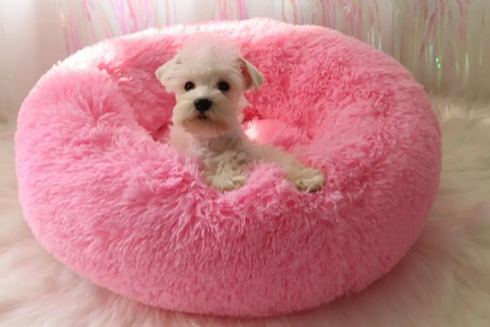 Pink Кровати для собак, роскошные круглые домики, Длинная шерстяная теплая мягкая кровать для кошек, моющаяся подушка для собак, полотенца - Цвет: Pink