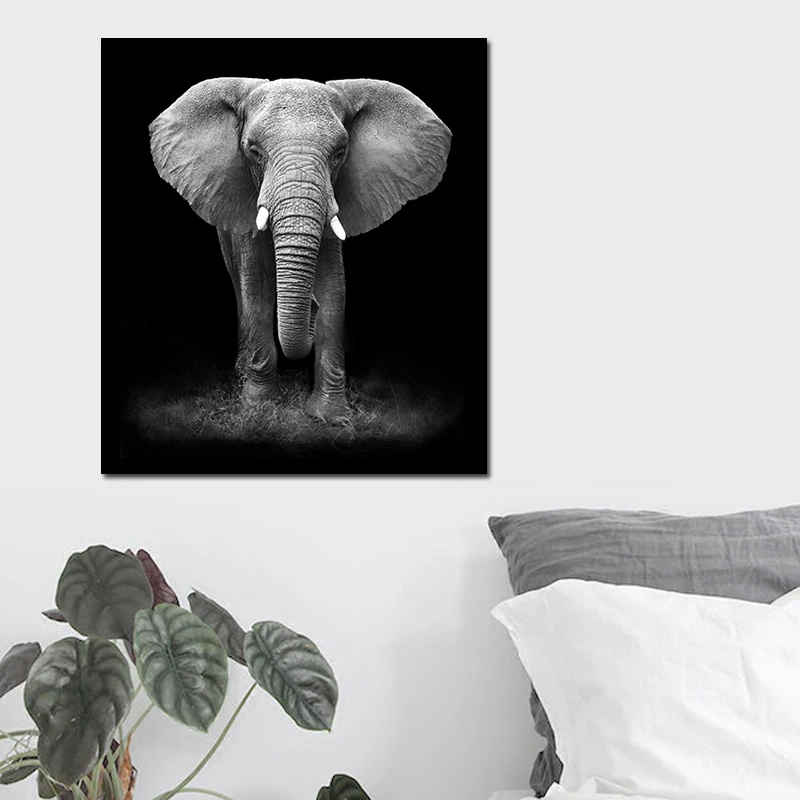 Современный черный белый слон фотография Бесплатная доставка Декор для дома