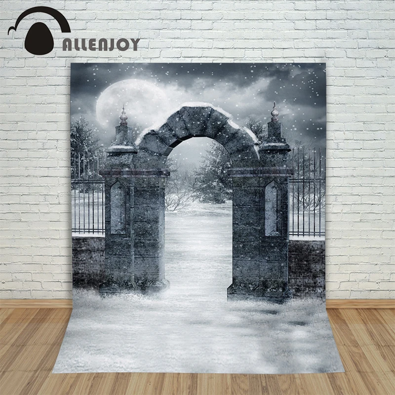 Allenjoy Vinyl photo studio Background Shek Mun Snow Halloween is ancient backdrops fotografia photographic paper | Электроника