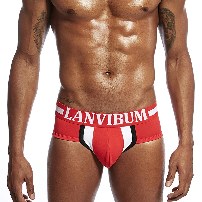 Мужские трусы с низкой талией сексуальные брифы мешочком для пениса Wonderjock