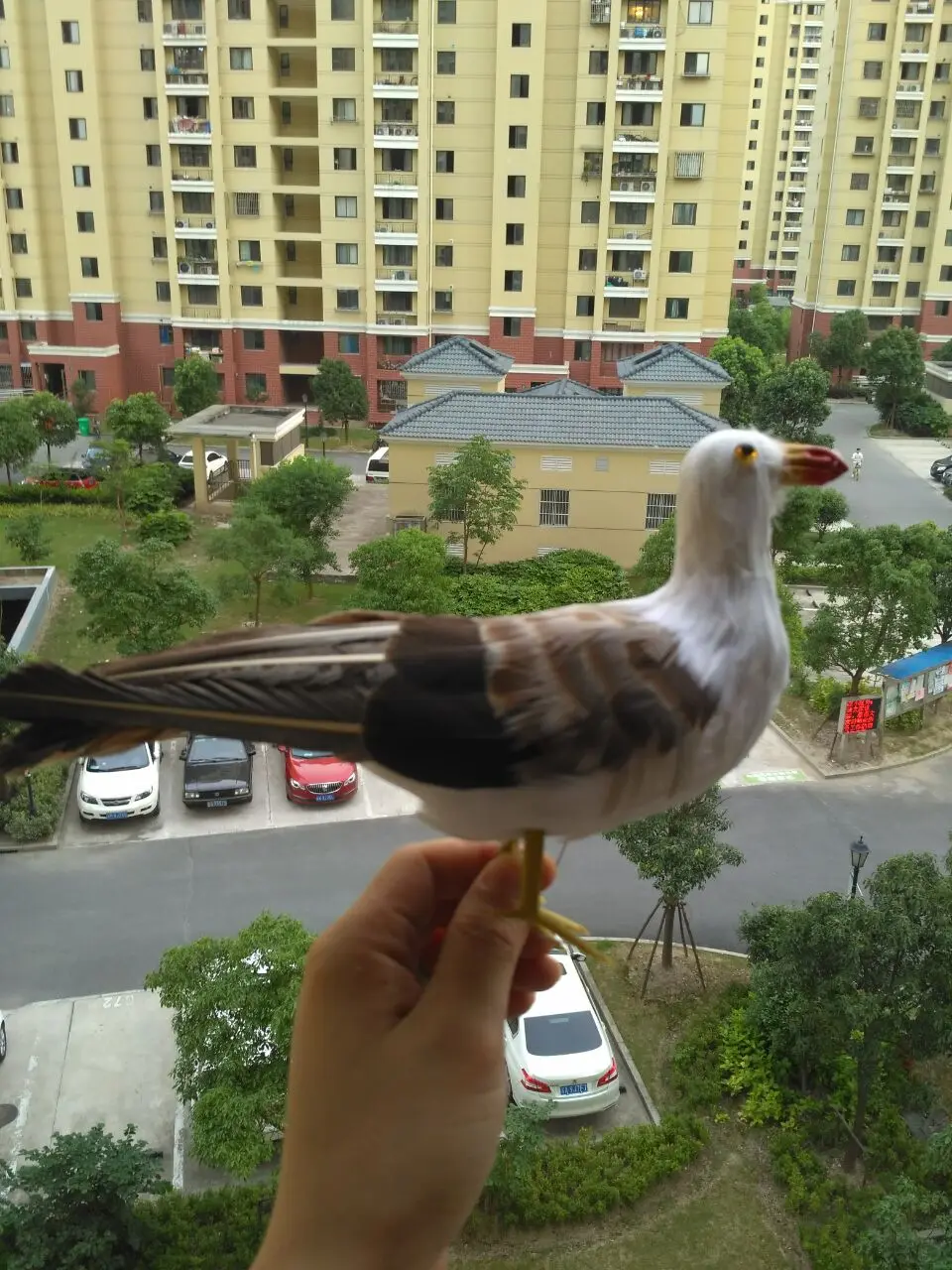 Около 25x15 см искусственная Чайка птица МОДЕЛЬ пена и перья чайки ручной работы