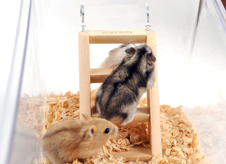 Высококачественная сосна искусственная животная лестница деревянные игрушки