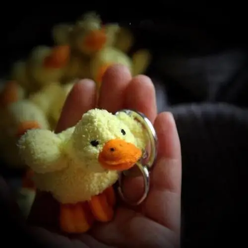 yellow duck Оригинальная мини-игрушка в виде желтой утки, совы, голубого Кита, Выдра, дельфин, Имитация животных, плюшевая игрушка, кукла, детский подарок на день рождения - Цвет: yellow duck