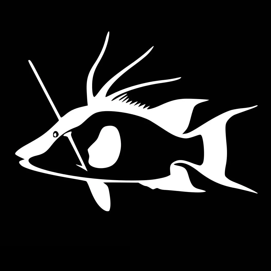 Копье Рыбалка переводная картинка гидрокостюм неопреновый пневматический