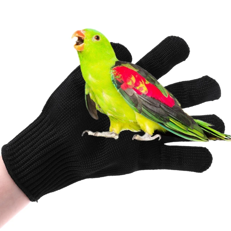 

1 Pair Bird Anti-bite Gloves Parrot Hamster Chewing Working Safety Protective Gloves Avoid Bird Biting Chewing Bird Supplies C42