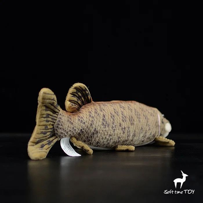 

Tropical Big Barracuda Dolls Toy Simulated Marine Animals Plush Toys For Children Gifts