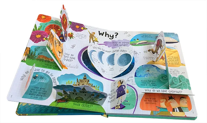 Usborne lift the flap вопросы и ответы оригинальные английские обучающие книги с
