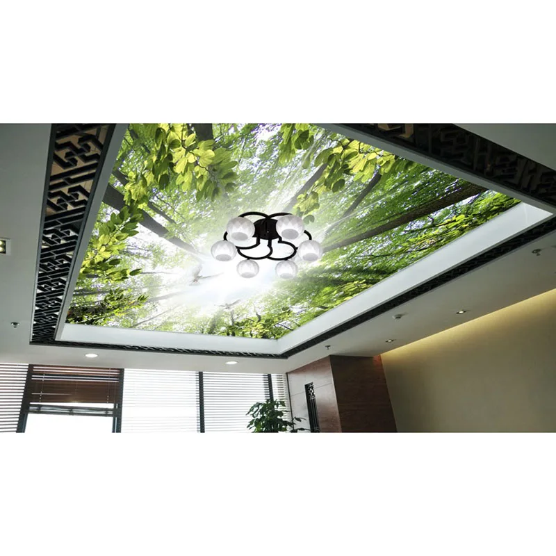 3D фотообои на заказ потолочные обои для стен гостиной нетканная ткань