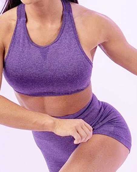 purple set Women Gym Shorts High Waist Seamless Sport Yoga Shorts Go dry Summer Running Shorts Sportswear Athletic Push Up Fitness Shorts - Цвет: purple set