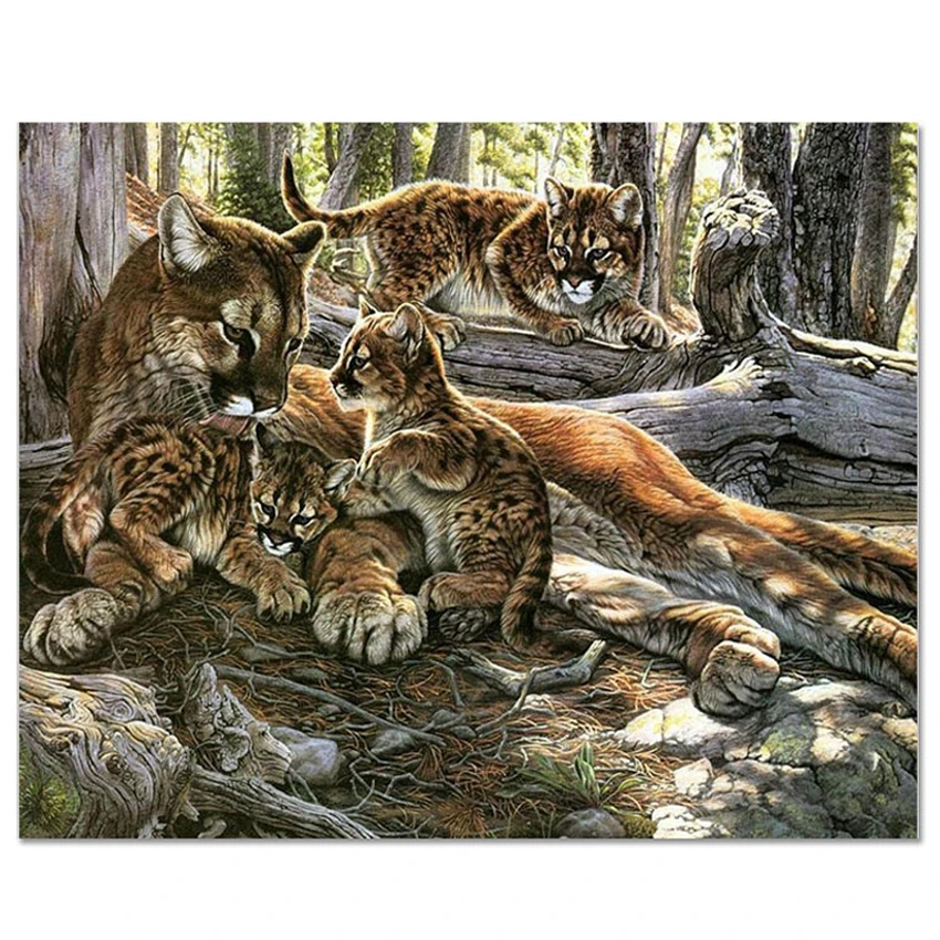 3D DIY Алмазная картина леопарда 60x70 см алмазная Вышивка крестиком настенная