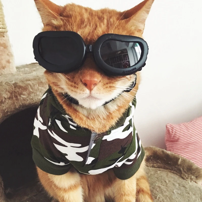 [Одежда для кошки MPK] камуфляжное пальто на собаку одежда питомца милая хлопковая