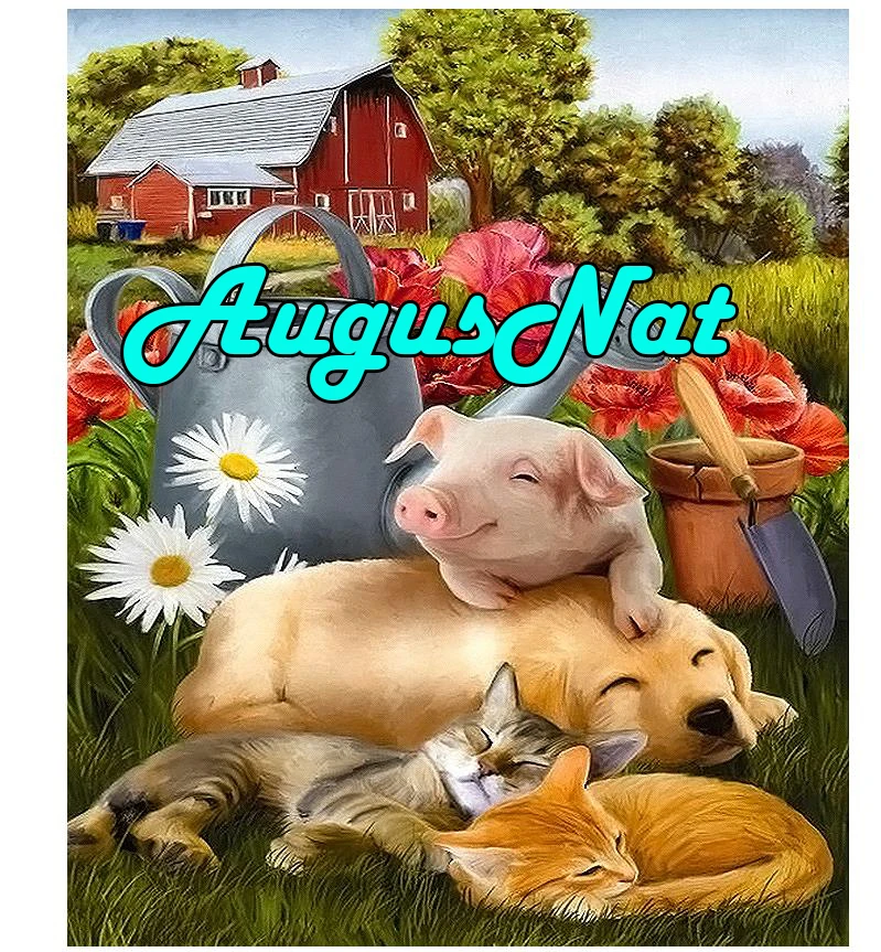 Алмазная живопись на ферме Спящая свинья вышивка из страз собака галька