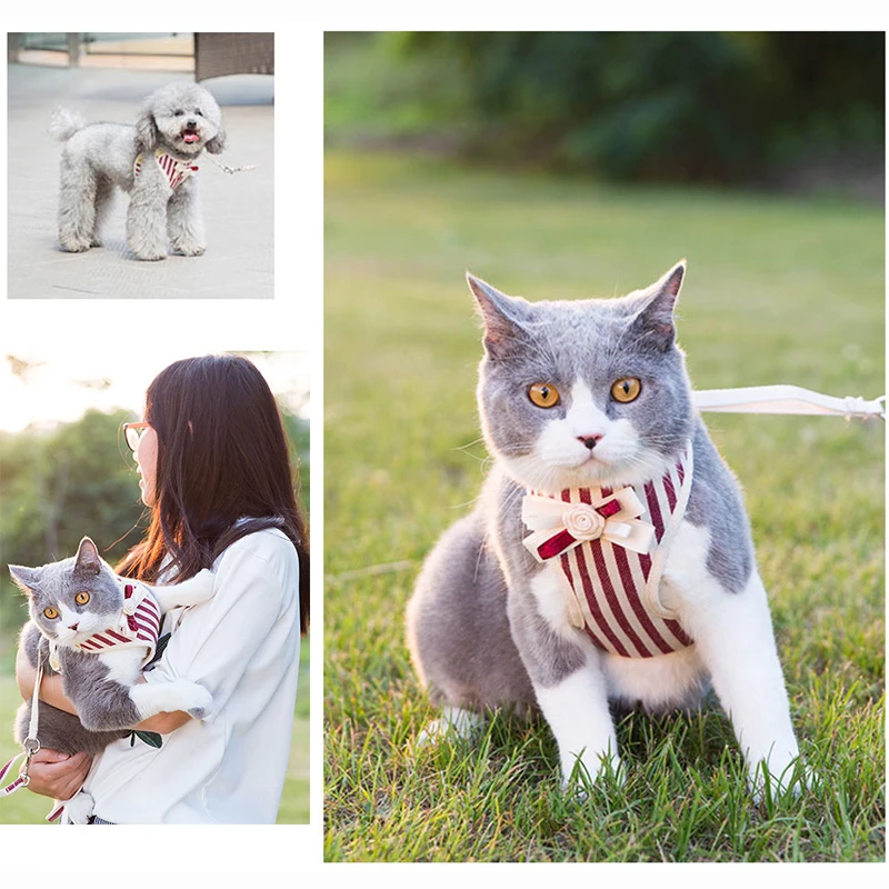 Жилет на кнопках с веревкой для больших средних и маленьких собак поводок