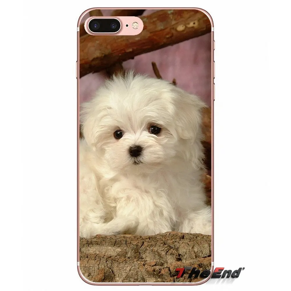 Для iPhone X 4 4S 5 5S 5C SE 6 6S 7 8 Plus Samsung Galaxy J1 J3 J5 J7 A3 A5 2016 2017 TPU Прозрачный чехол белая