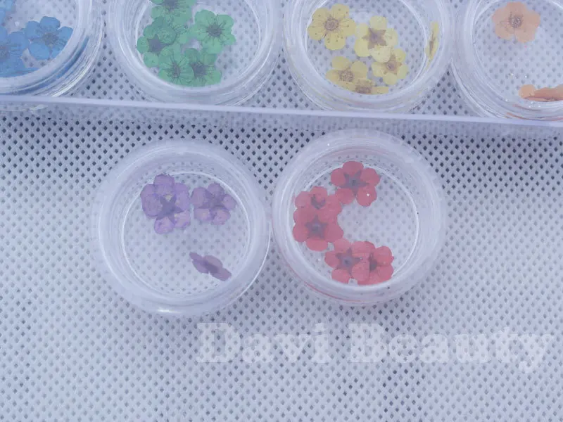 12 видов цветов/банок/партия бусины для ногтей сухие цветы 3D/УФ гель украшения