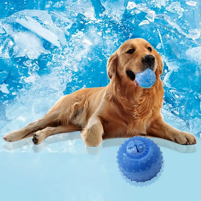 

Жевательная игрушка для собак, мяч, пищащая звуковая игрушка, устойчивые к укусам мячи для зубов для собак, дрессировка, чистка зубов