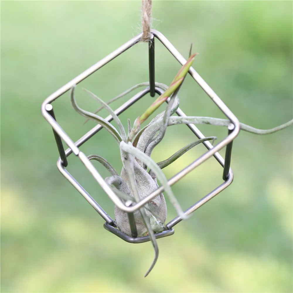 Креативный современный стиль Садоводство суккулентный подвесной Плантатор