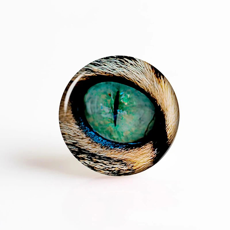 5 шт./лот, глаза животных, дракон, змея, Сова, кошка, тигровые глаза, стеклянный кабошон 25 мм, ручная работа, ювелирное изделие для DIY, ожерелье, браслет, глаз