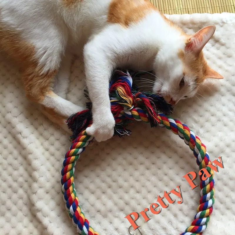 Деформируемого птица Игрушечные лошадки птицу попугай стоя веревки птицы Клетка