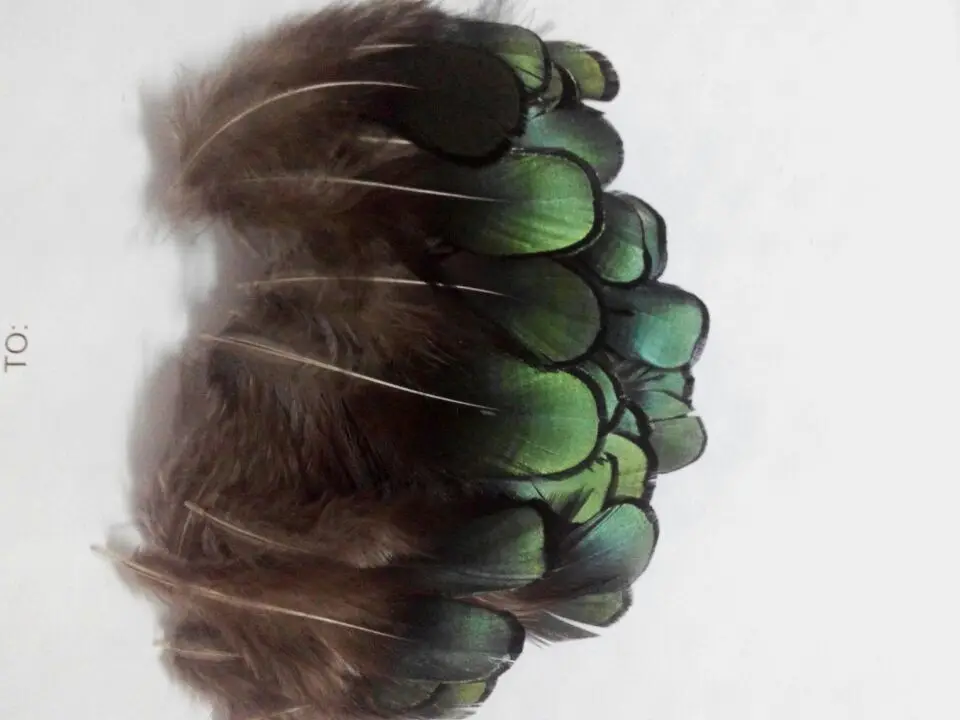 Лидер продаж! 100 шт./лот качественные натуральные дамские перышки фазана 2-3