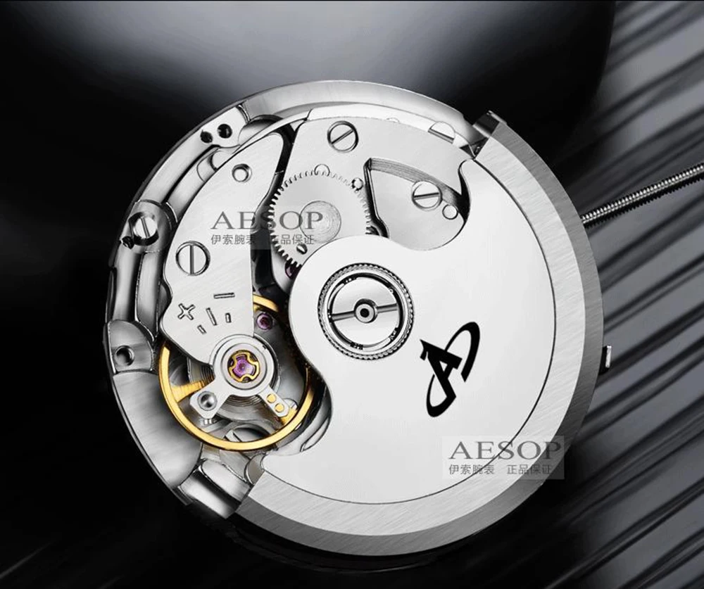 AESOP брендовые часы Мужские Роскошные автоматические механические день дата